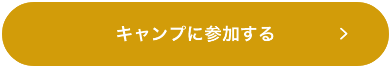 メインビジュアル ボタン画像